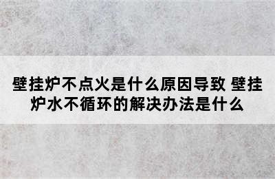 壁挂炉不点火是什么原因导致 壁挂炉水不循环的解决办法是什么